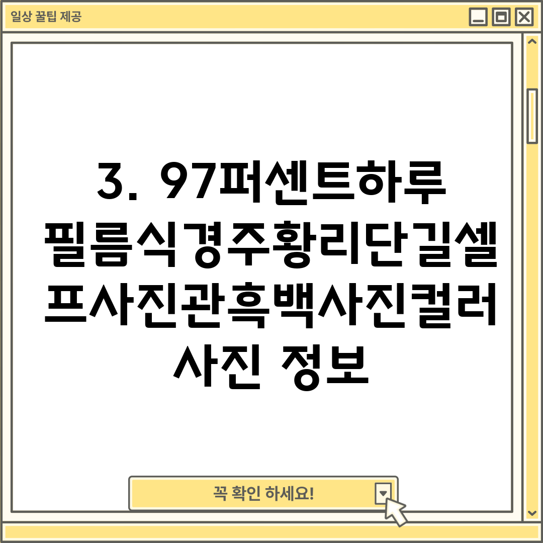 3. 97퍼센트하루필름식경주황리단길셀프사진관흑백사진컬러사진 정보