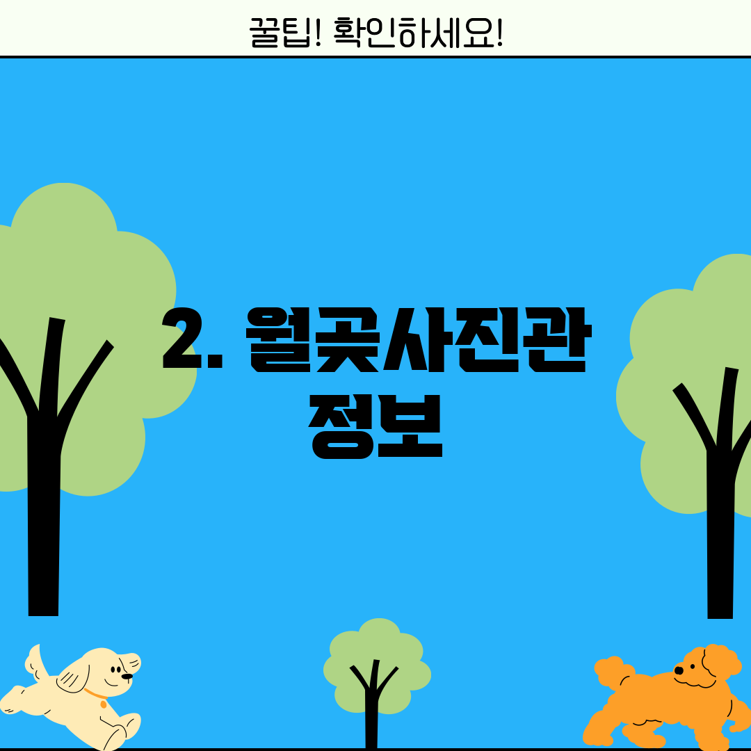 2. 월곶사진관 정보