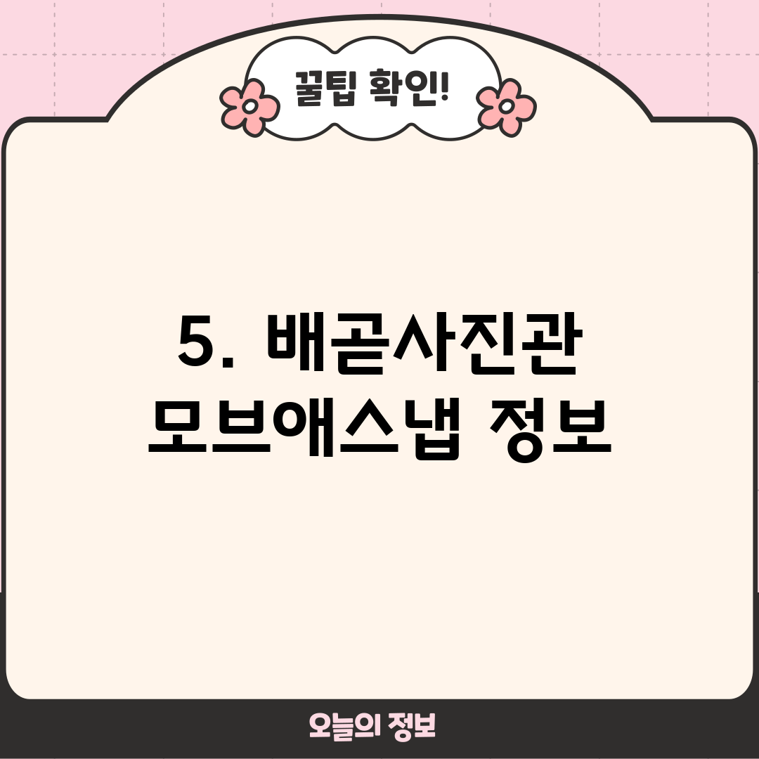 5. 배곧사진관 모브애스냅 정보