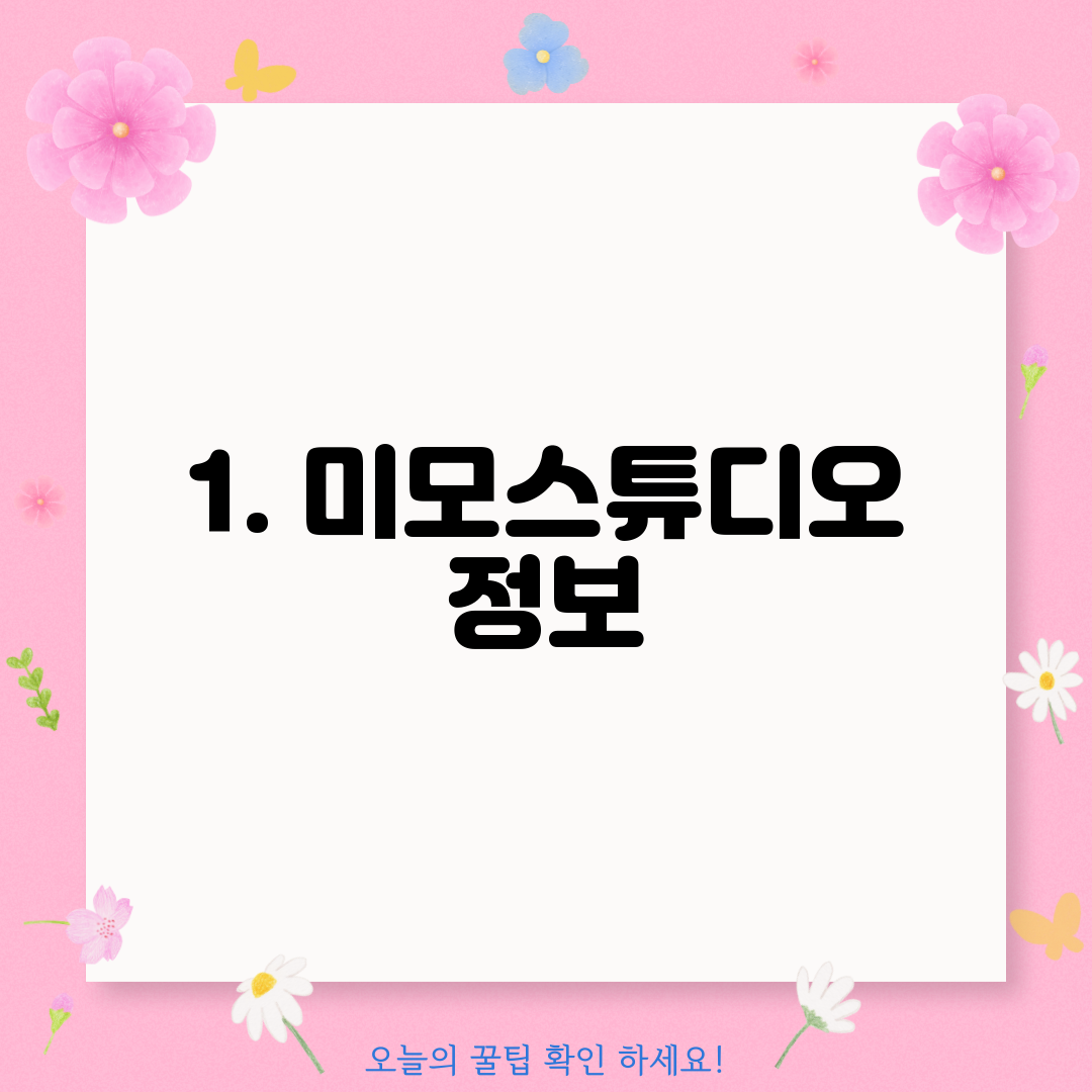 1. 미모스튜디오 정보
