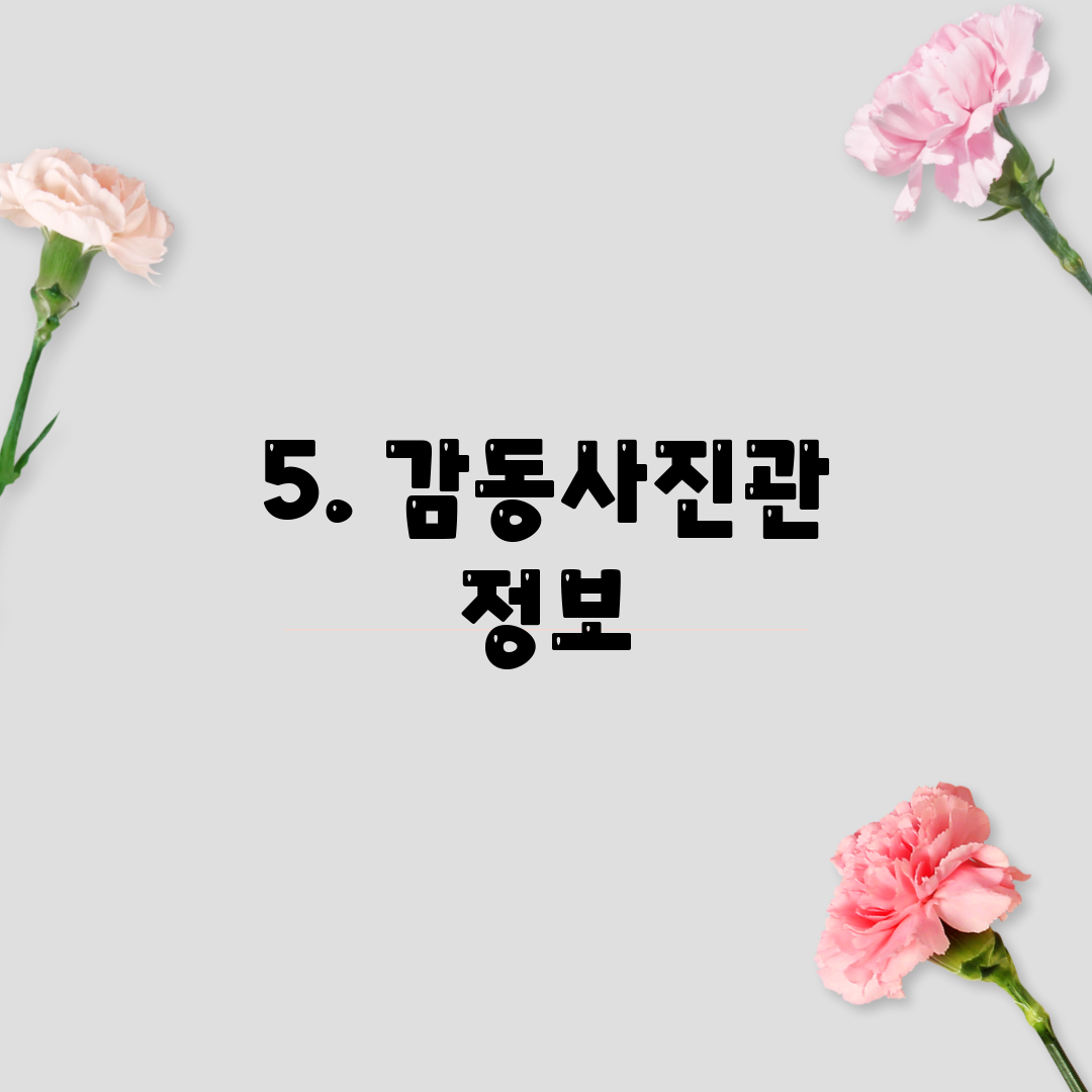 5. 감동사진관 정보