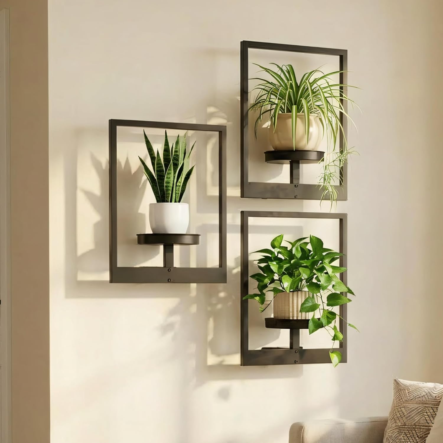 Modern Picture Frame Wall Planters Set of 3 | Rustproof Metal Hanging Plant Shelves | Black Finish