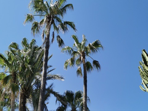 Wedding Content photo 48