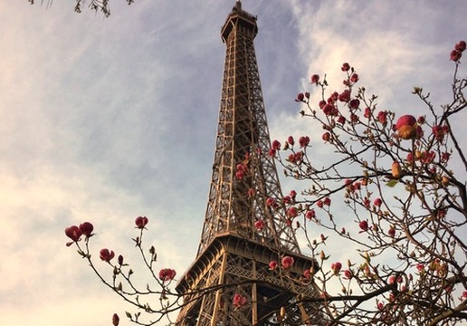 Wedding Content photo 24