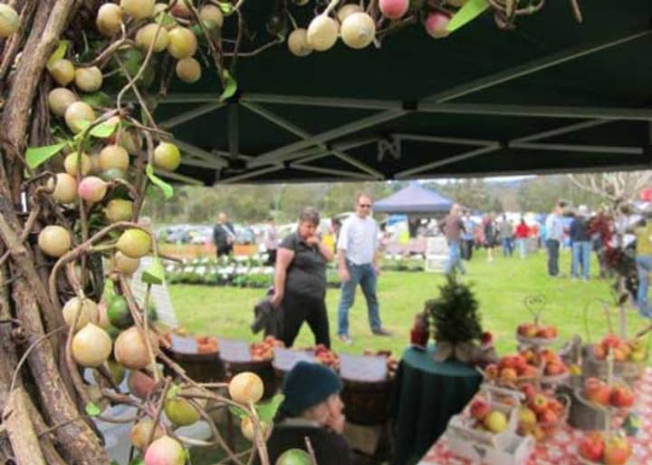 Lilydale Craft and Produce Market
