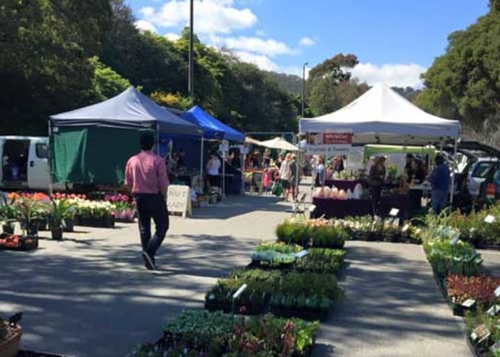 The Gully Market