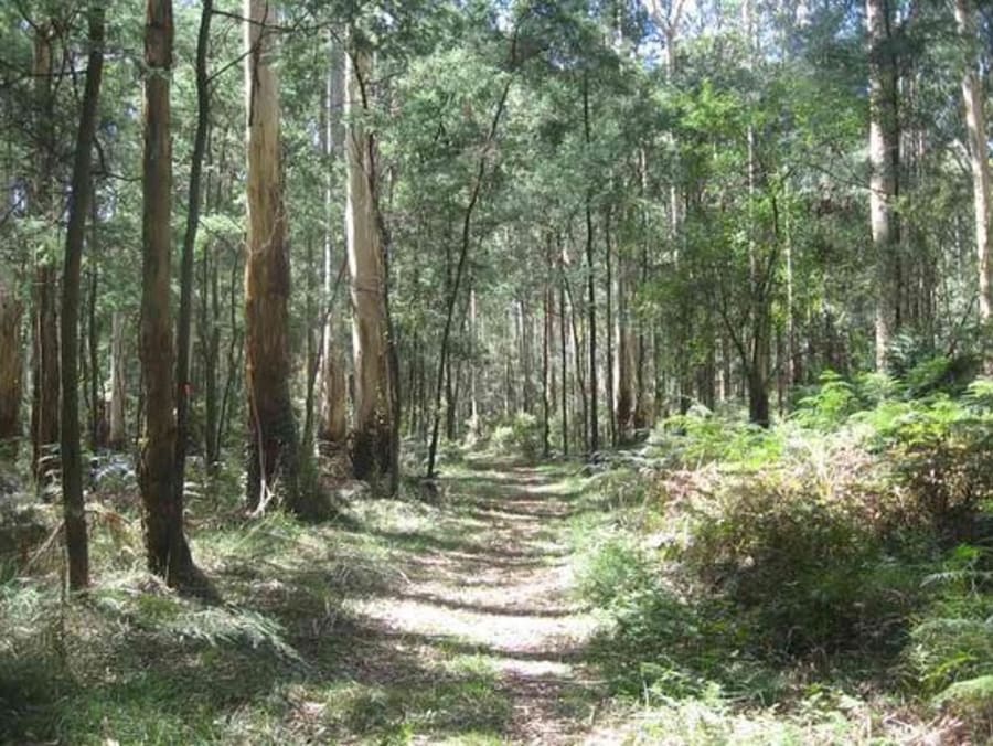 Butterfield Wildlife Reserve Walk