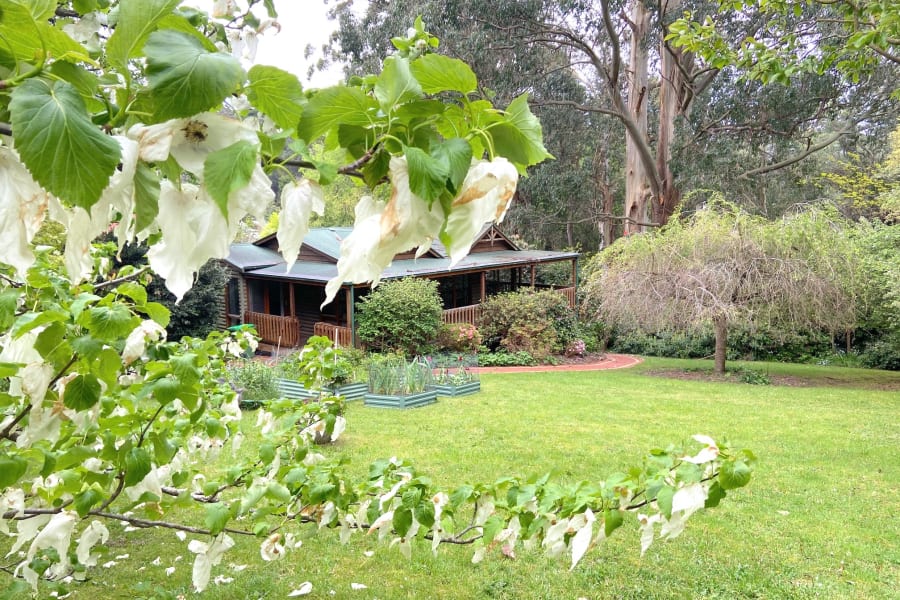 Botanica Retreat - Pet friendly cosy cottage for two