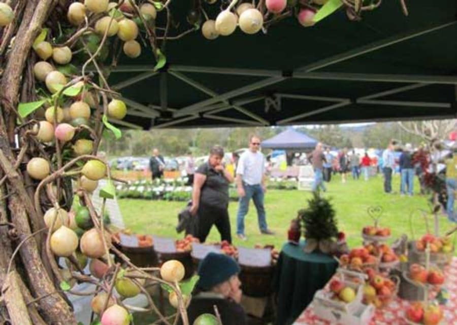 Lilydale Craft & Produce Market