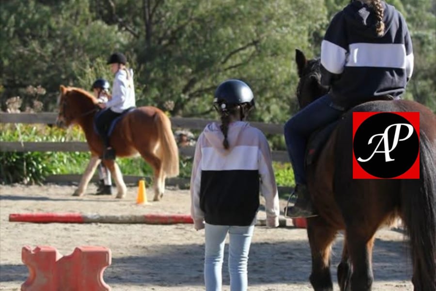 Full Day Program - Non Horse Owner - Eastern Dandenong Ranges
