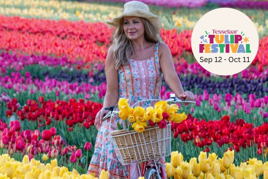 Tulip Festival