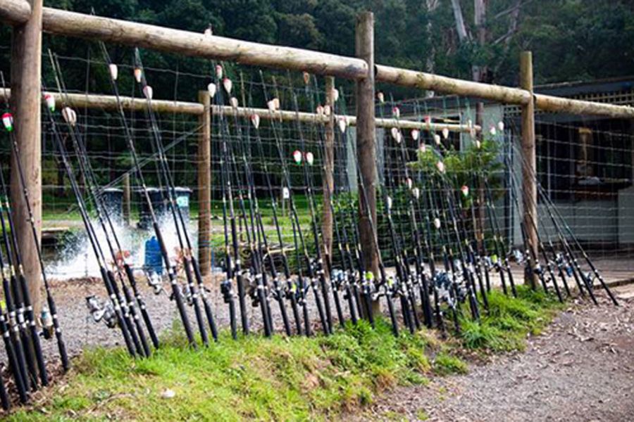 Rainbow Trout Farm Eastern Dandenong Ranges