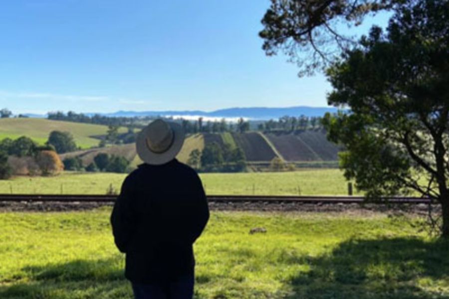 Walking Trails Eastern Dandenong Ranges