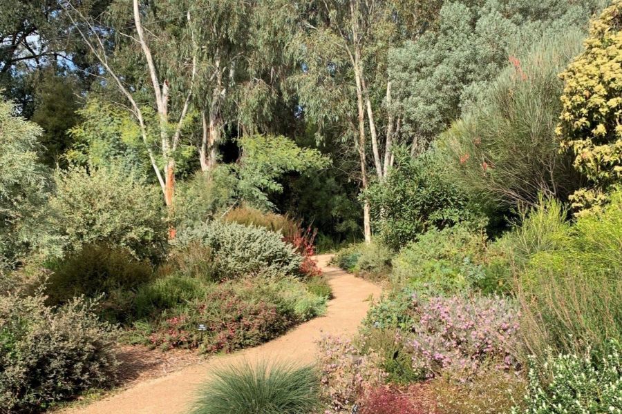 Karwarra Australian Native Botanic Garden & Nursery The Villages