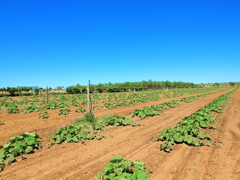 Acreage For Sale Certified Organic For Sale Lifestyle Businesses Australia Acreage For Sale Certified Organic For Sale Lifestyle Businesses Australia