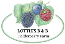 Lottie's at Fielderberry Farm
