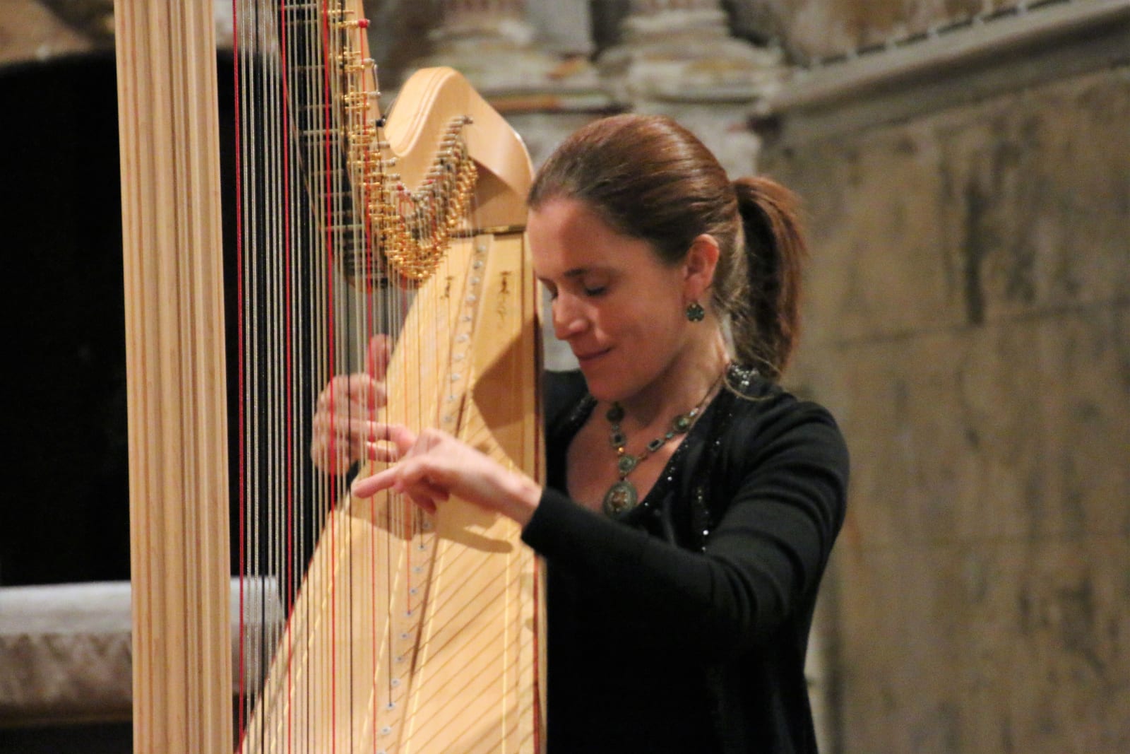 Affiche ou photo de "HARP STORY" : une histoire de harpe(s) en musique !