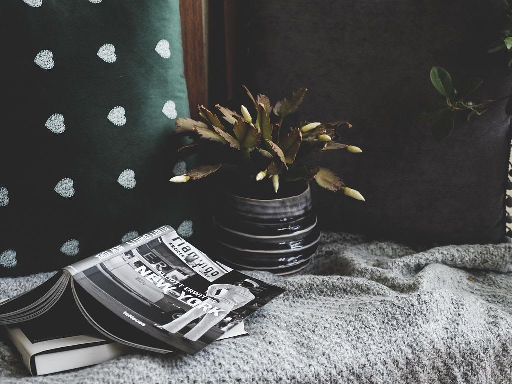 Affiche ou photo de Club lecture vert