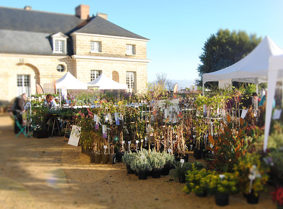 Affiche ou photo de Les Pépifolies, marché aux végétaux