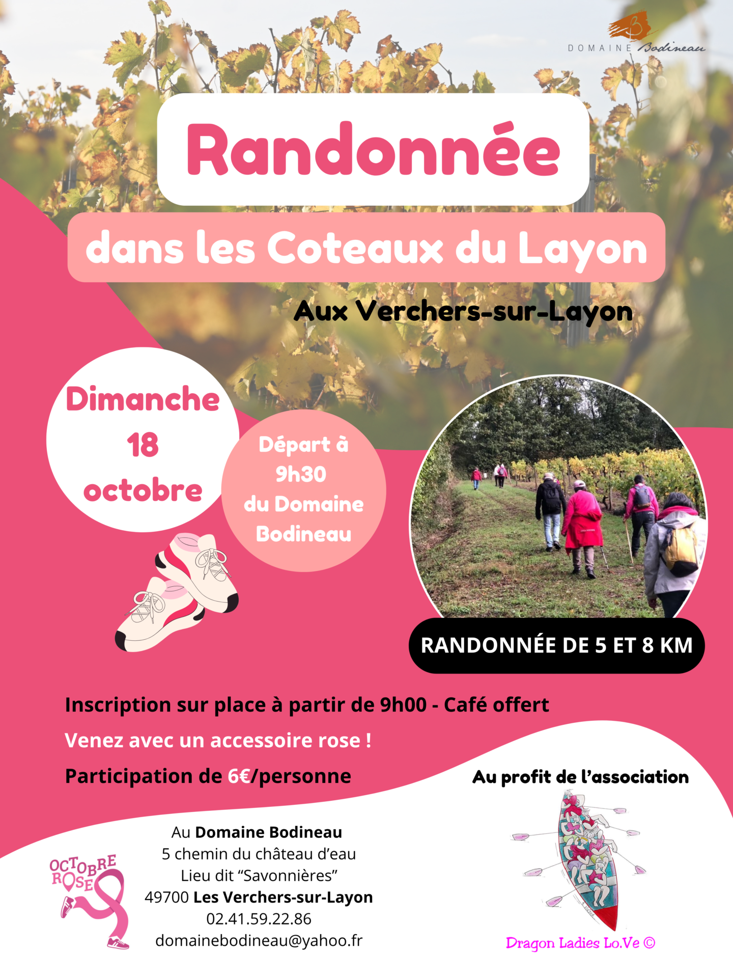 Randonnée dans les Coteaux du Layon au Domaine Bodineau
