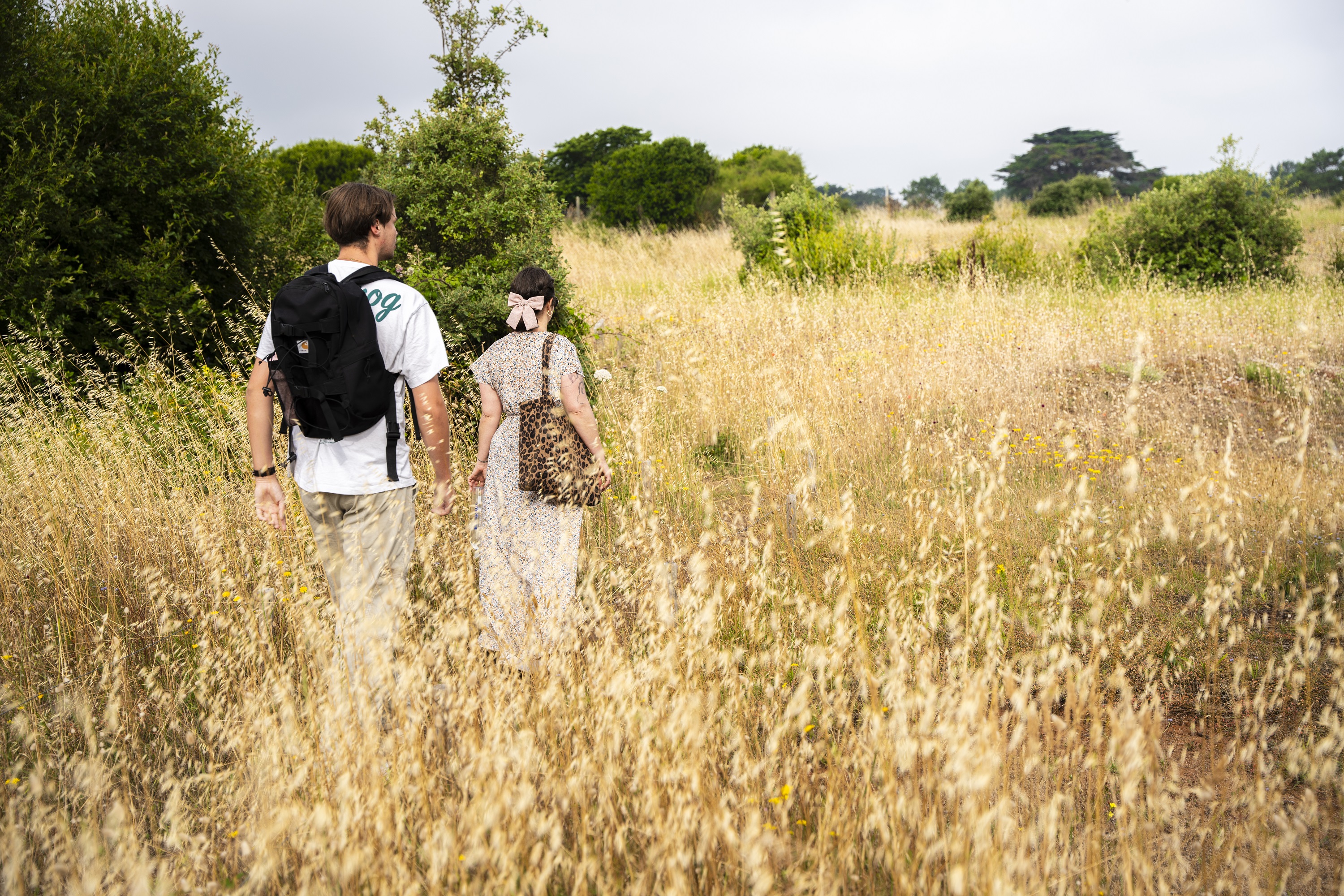 Balade Nature - Les dunes