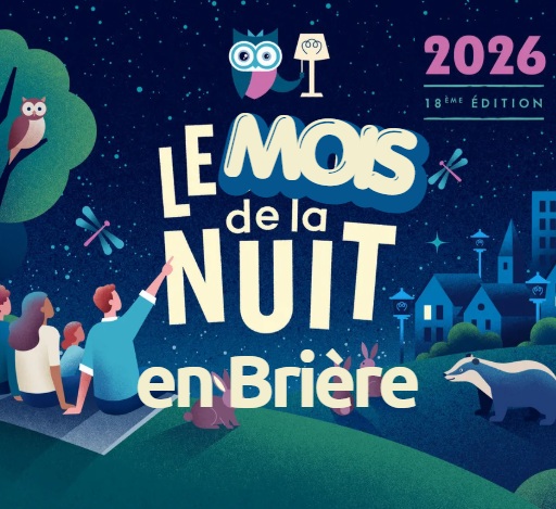 Atelier de construction de gîtes à chauves-souris