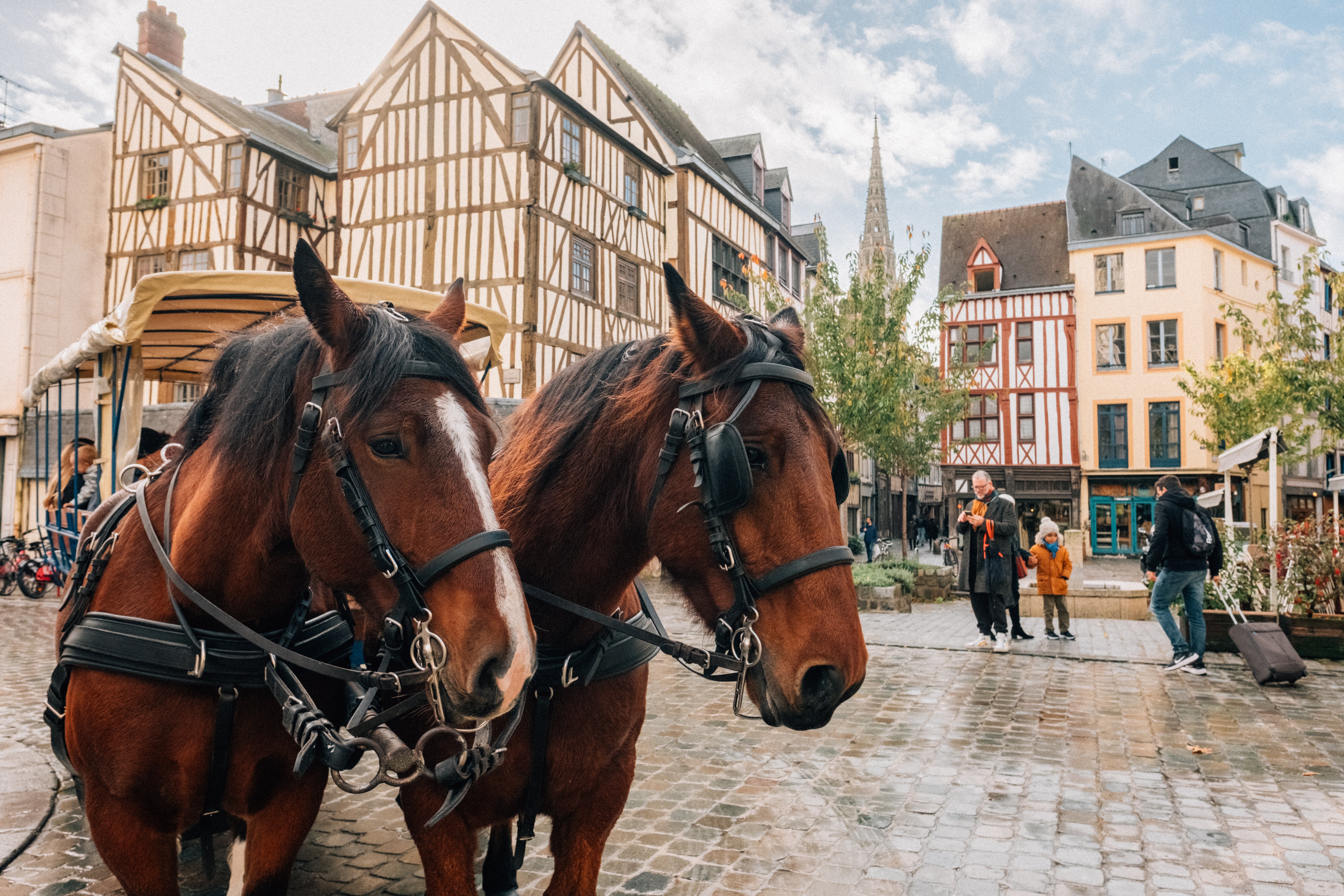 Rouen au pas des chevaux