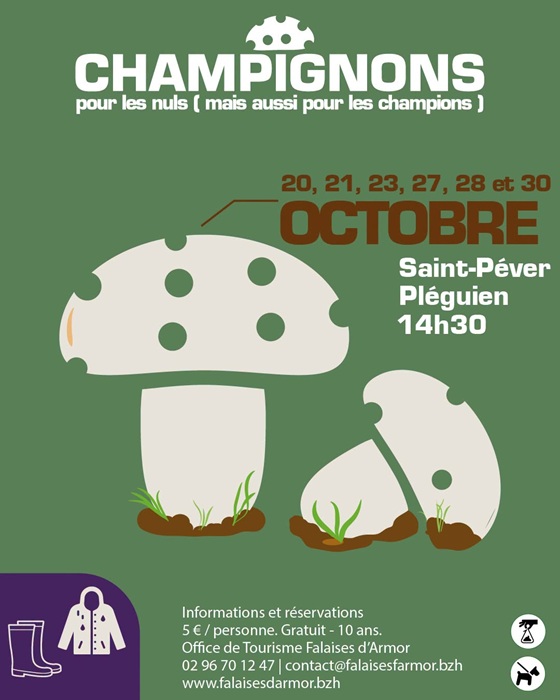 Sortie découverte des champignons
