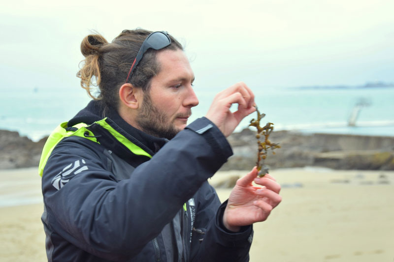 Les Z'éco-Nature : Les super-pouvoirs des petites bêtes du bord de mer