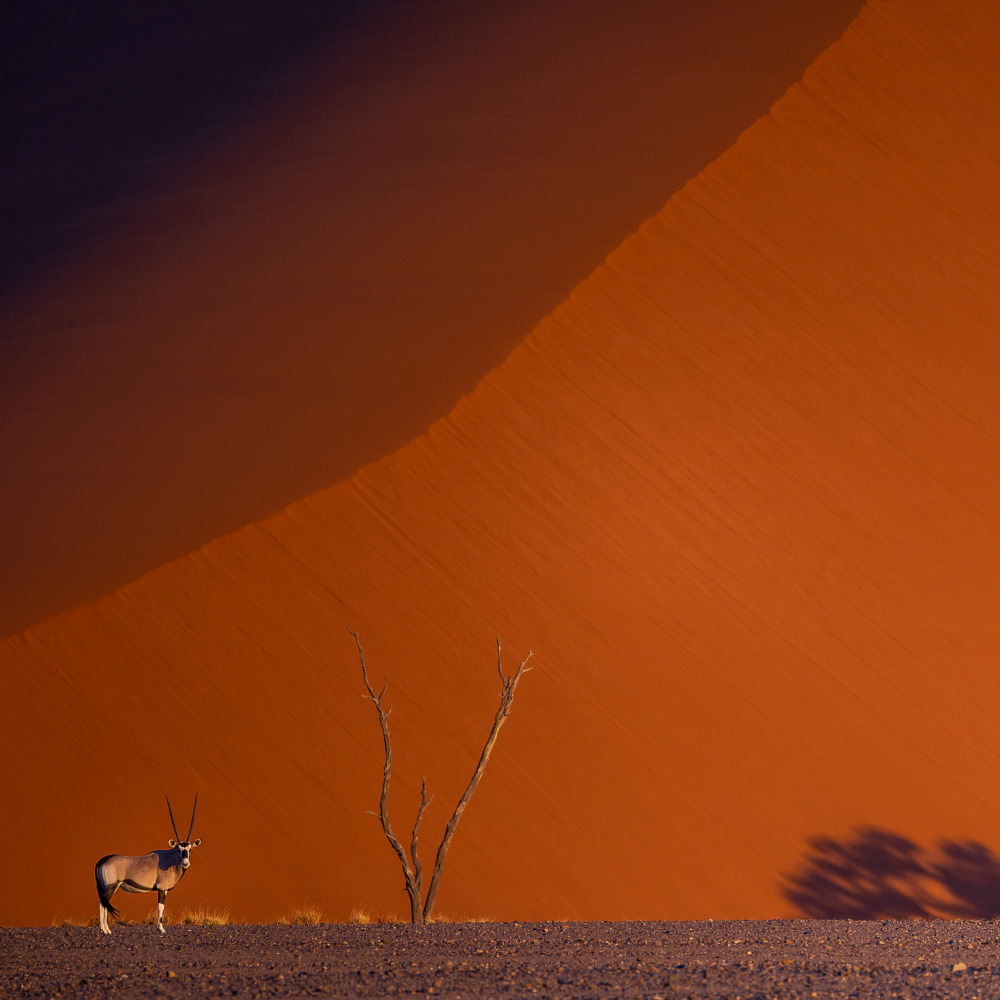 Ciné-conférence - Namibie