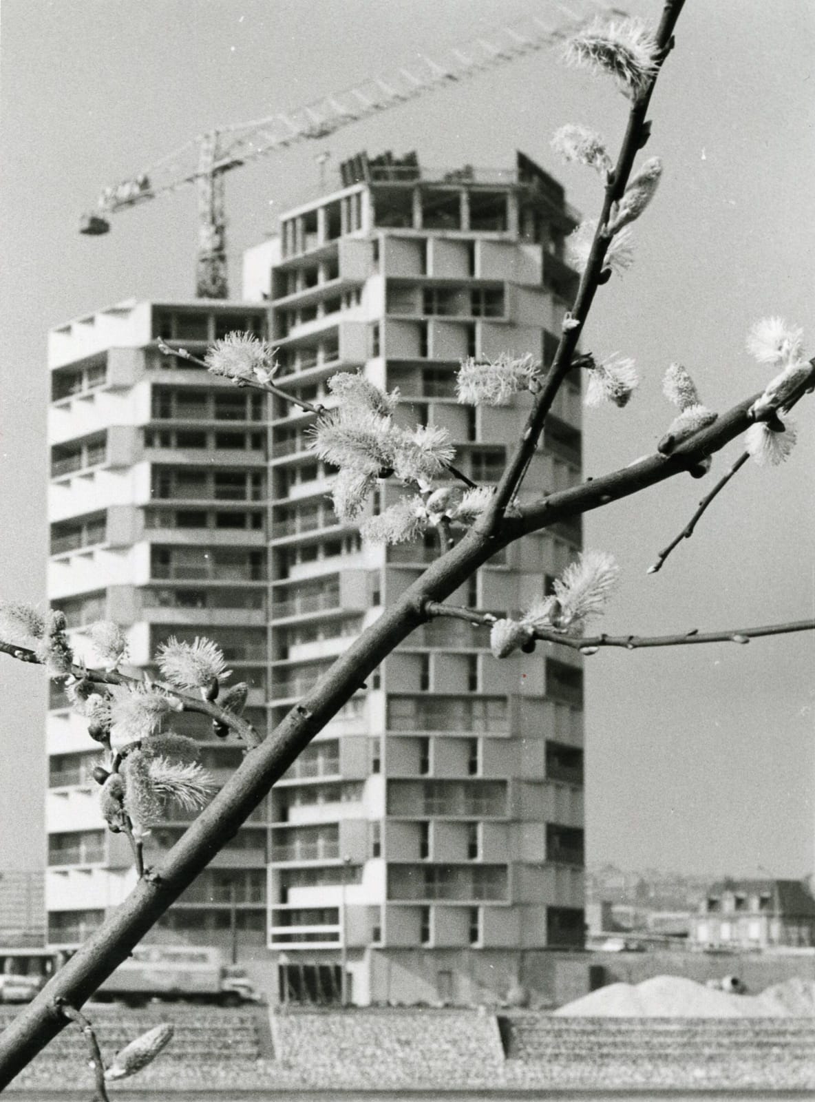 Affiche ou photo de Visite guidée "Rive gauche : le quartier Damrémont"