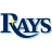Tampa Bay Rays Badge