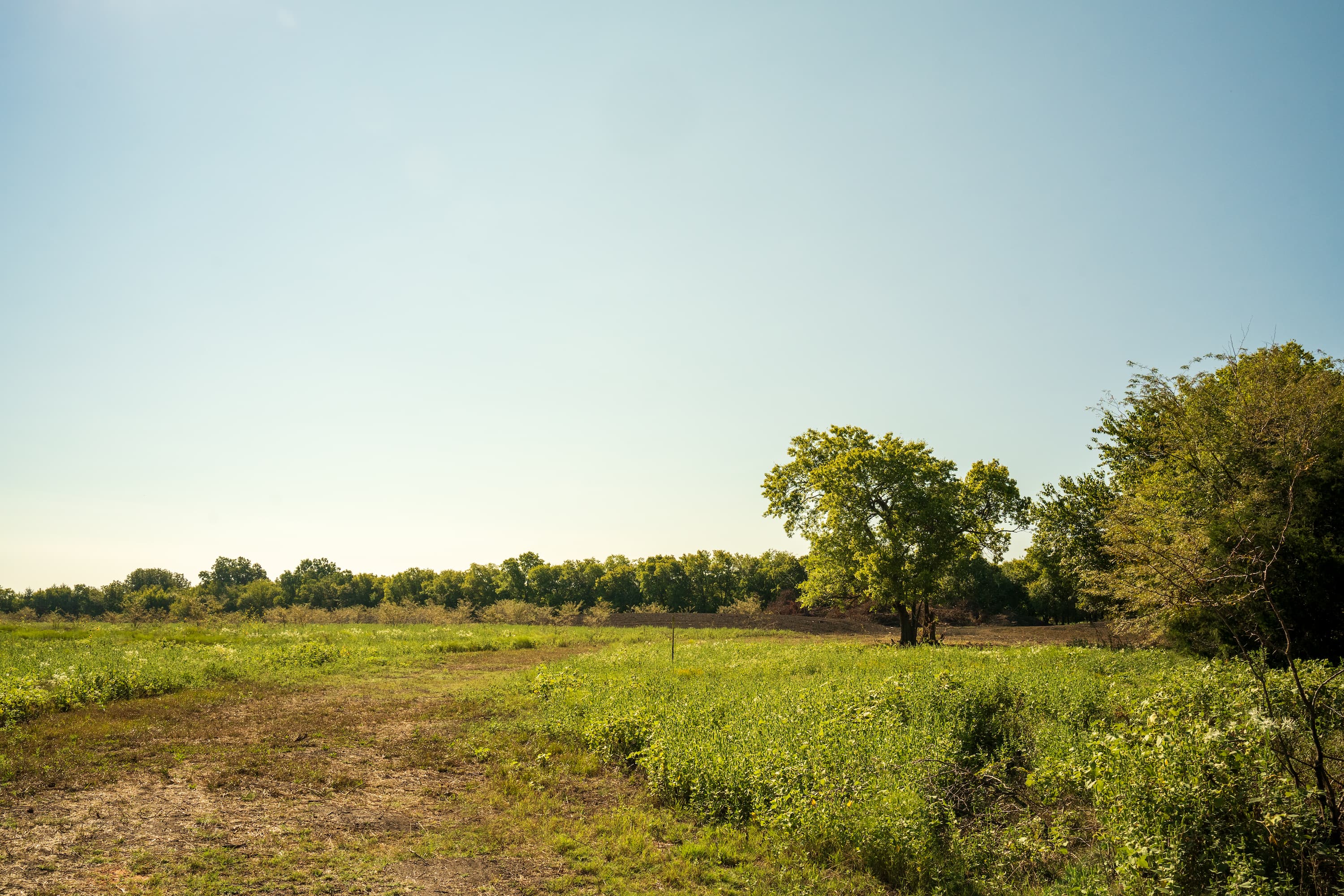 15 Acres in Fannin County - Image 2