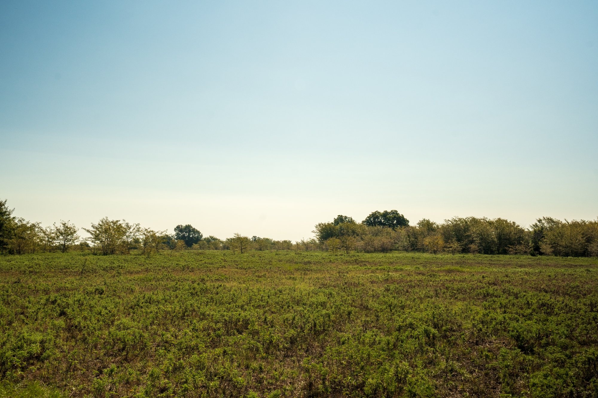 15 Acres in Fannin County - Image 3