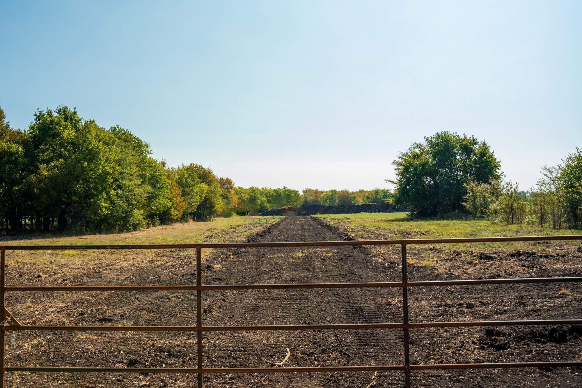 15 Acres in Fannin County