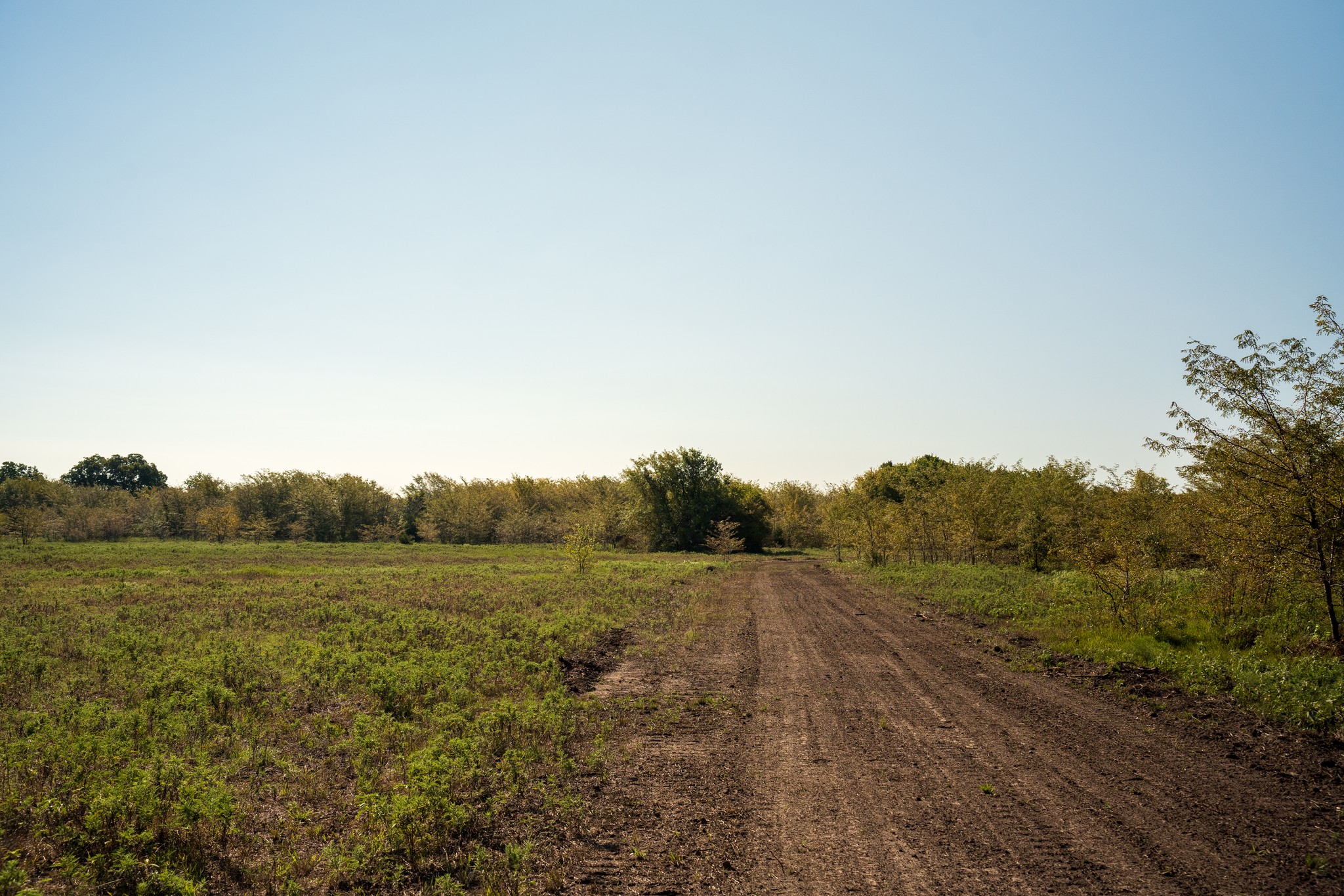 20.9 Acres in Fannin County - Image 4