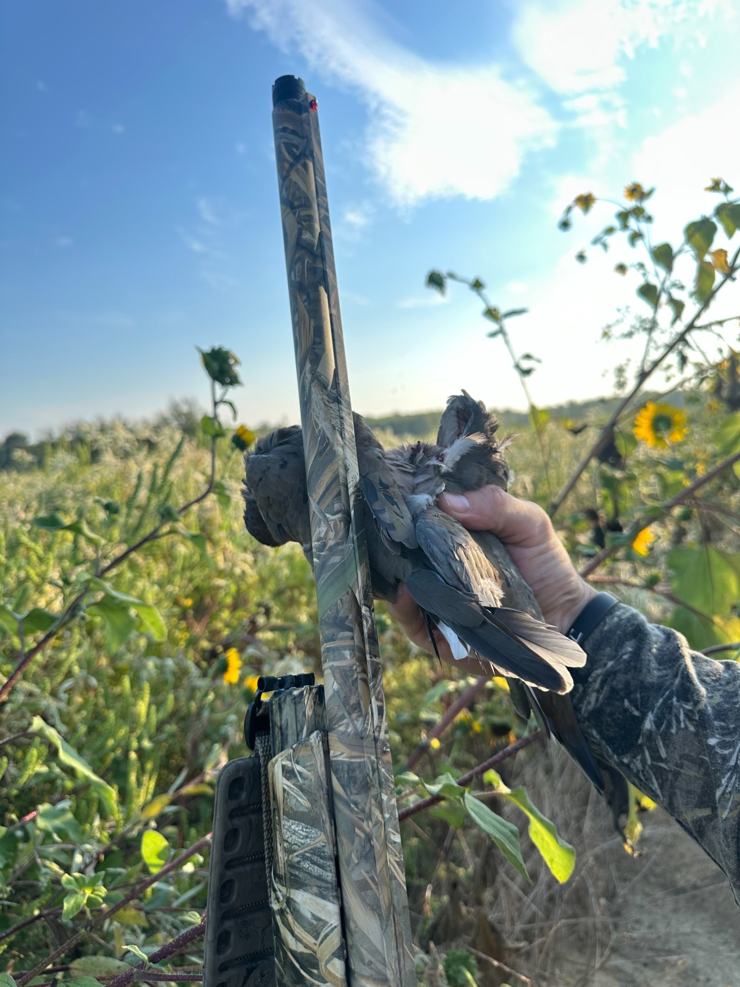 20 Acres in Fannin County - Image 3