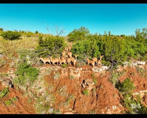 Double Mountain Ranch - Image 3