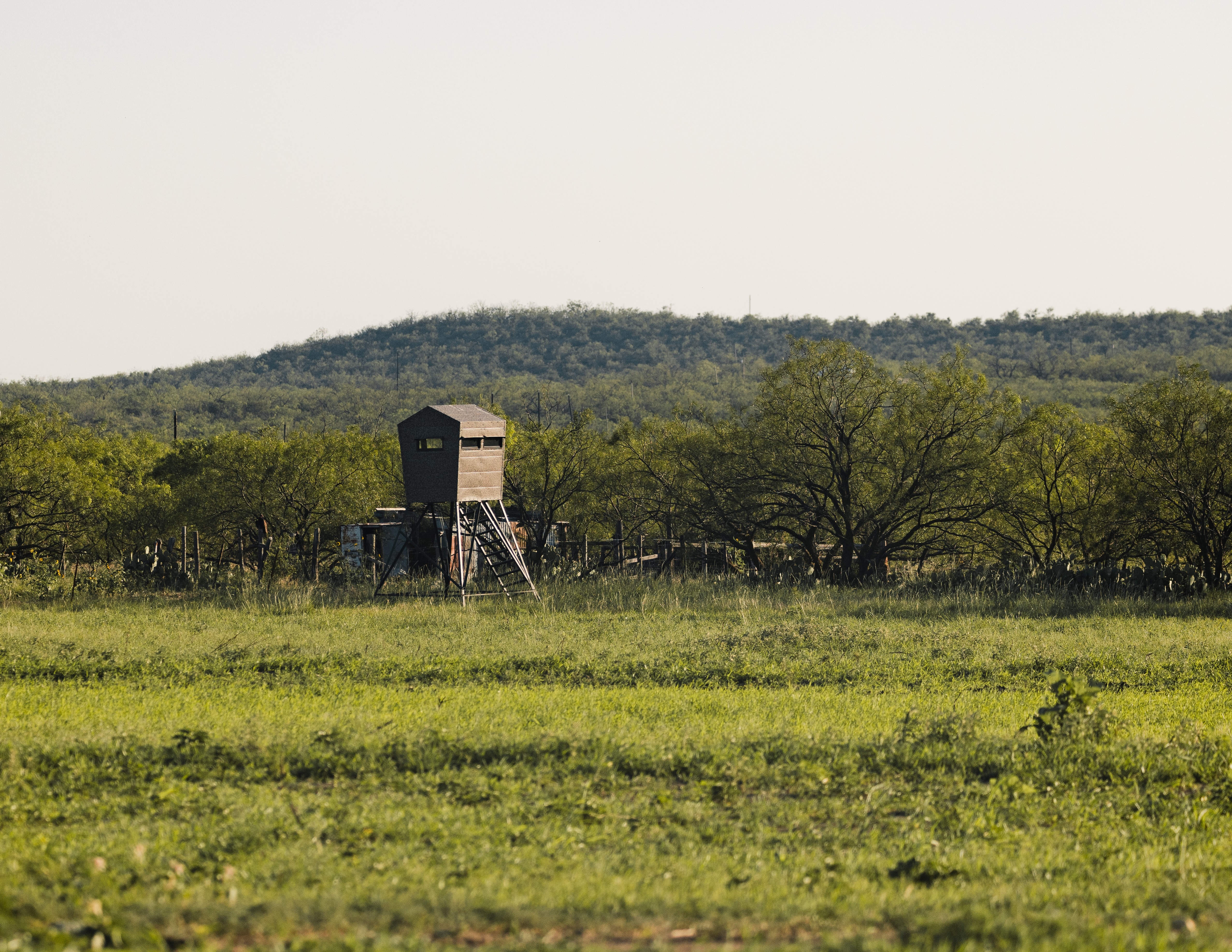 1,800 Acres in King County, Tx