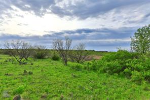 385 Acres in Callahan County, Tx - Image 5