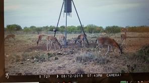 385 Acres in Callahan County, Tx - Image 3