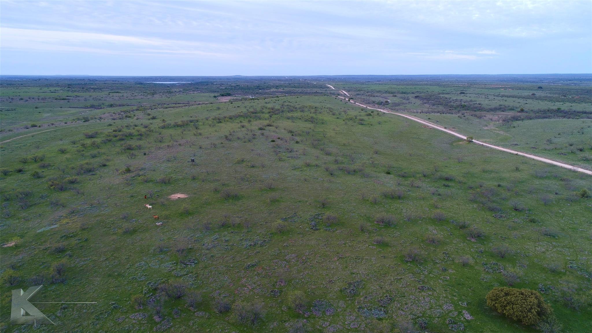 385 Acres in Callahan County, Tx - Image 9