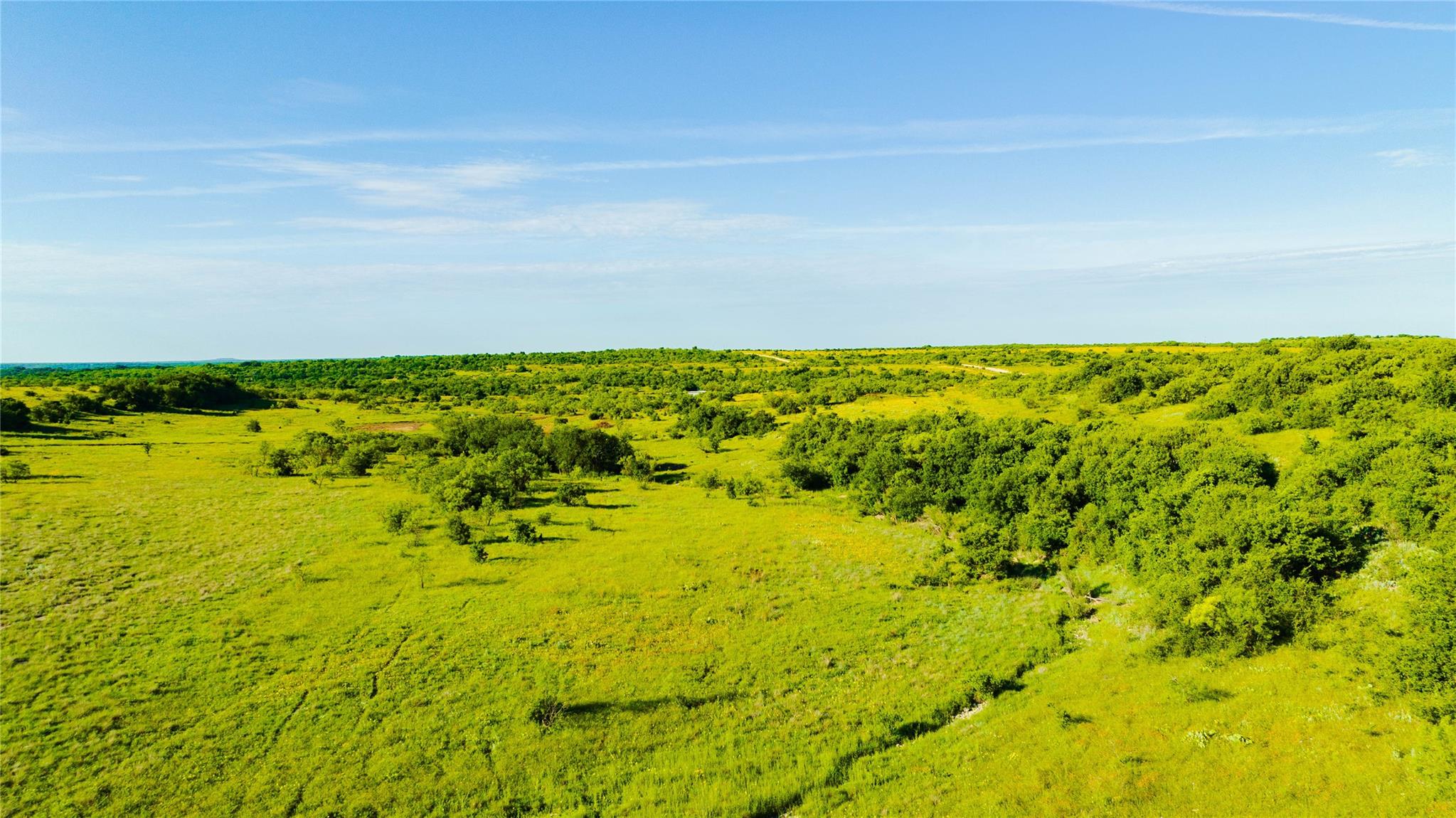 385 Acres in Callahan County, Tx - Image 13