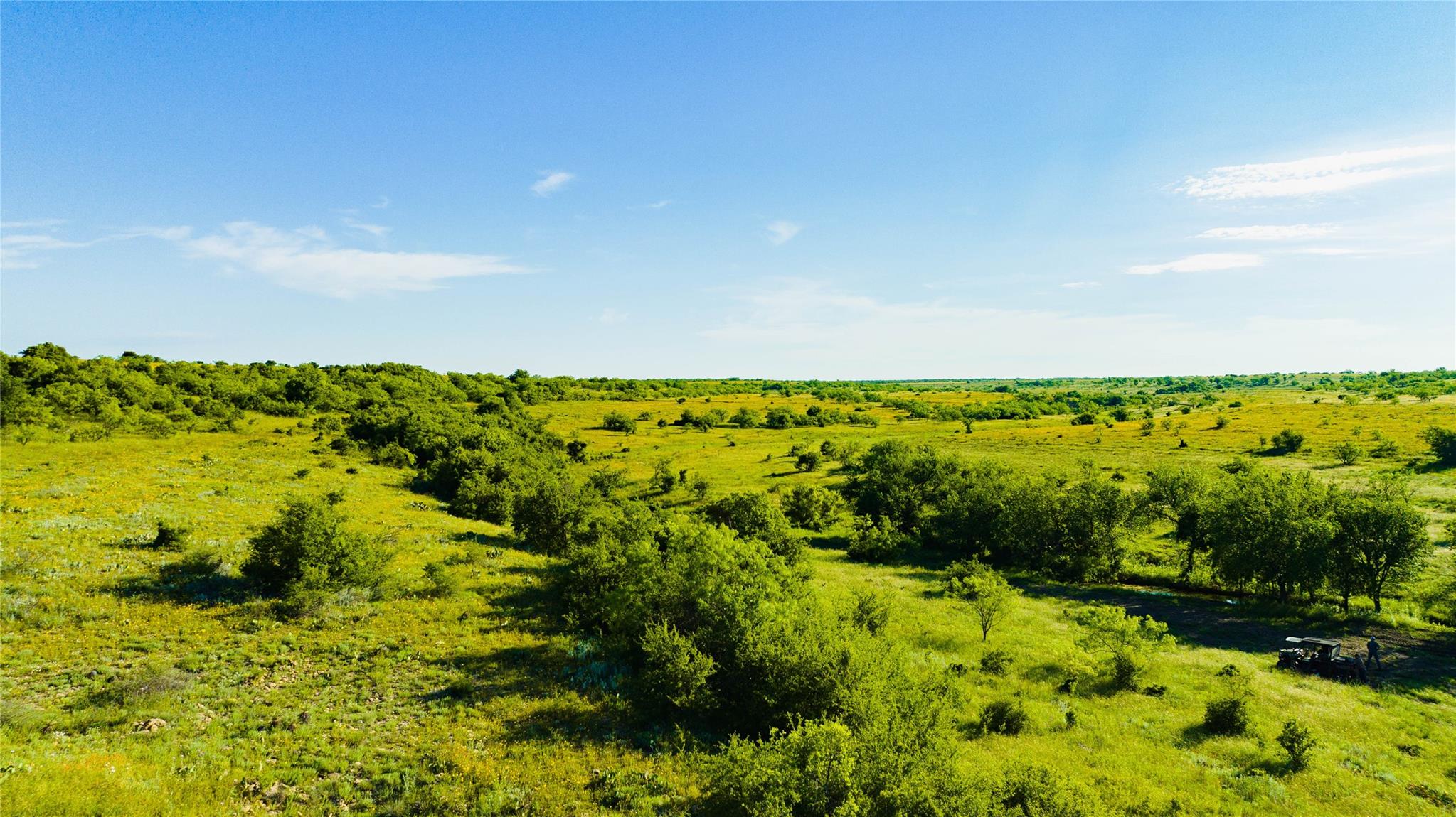 385 Acres in Callahan County, Tx - Image 14
