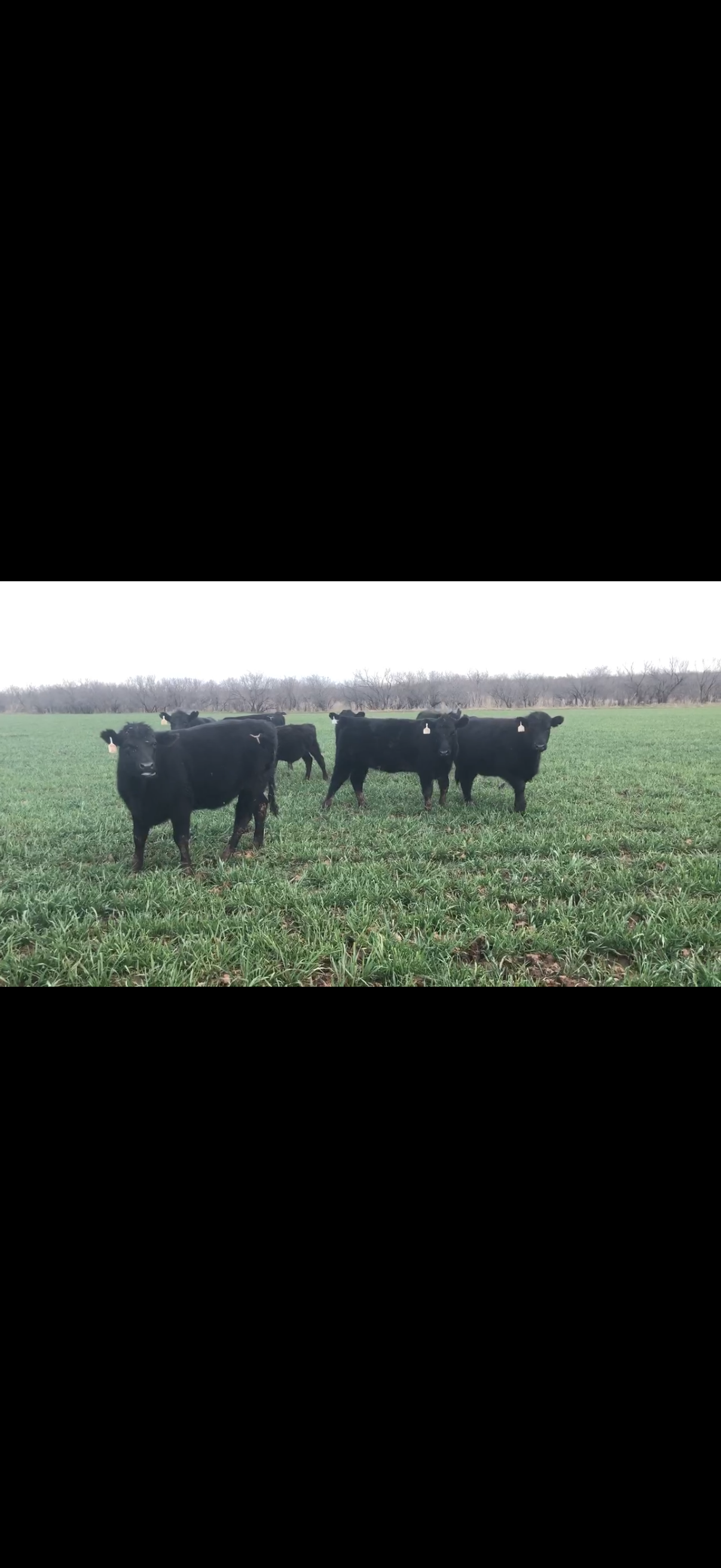 Sheets Farm