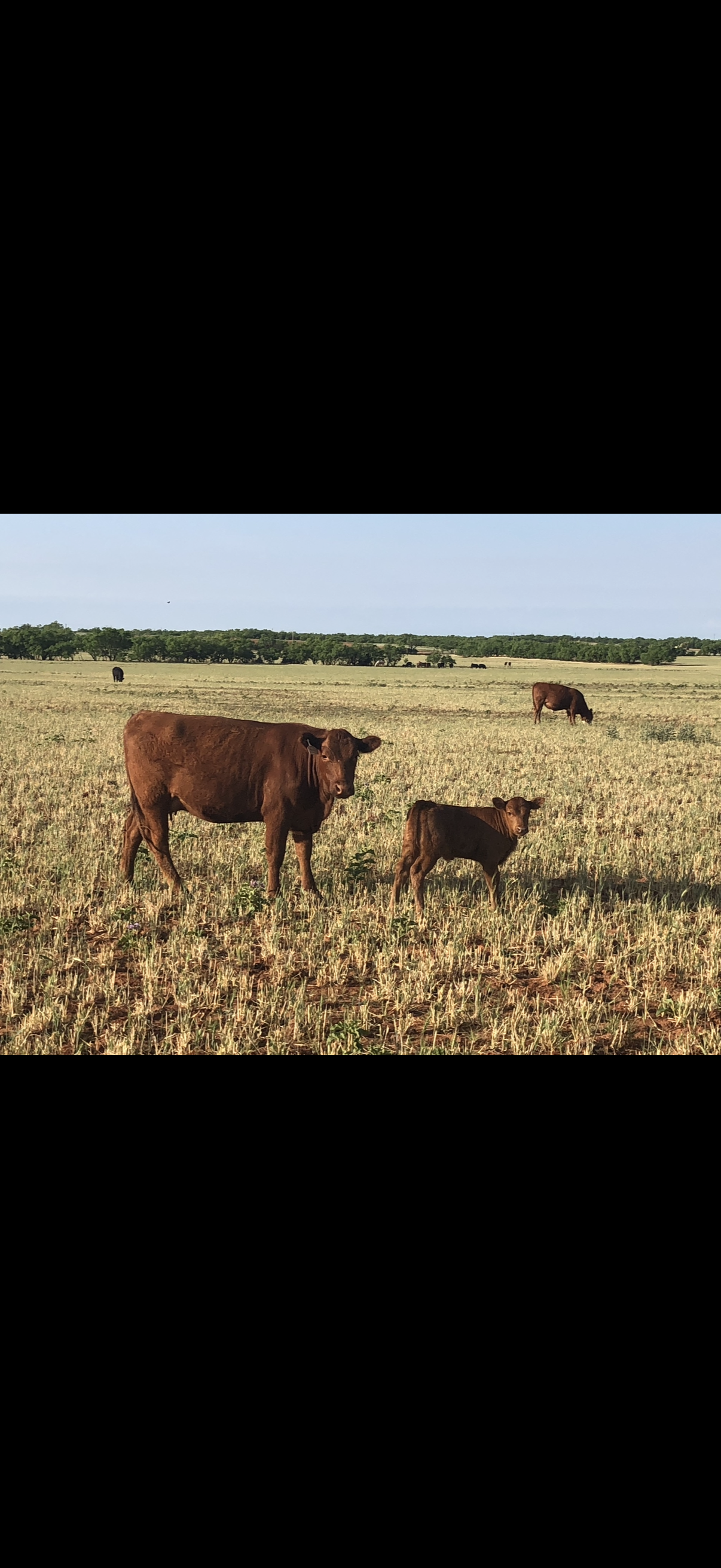 Sheets Farm - Image 3
