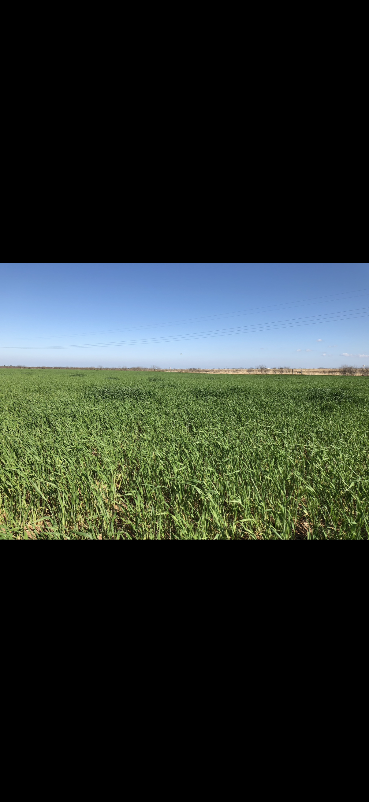 Flying T Ranch - Image 3