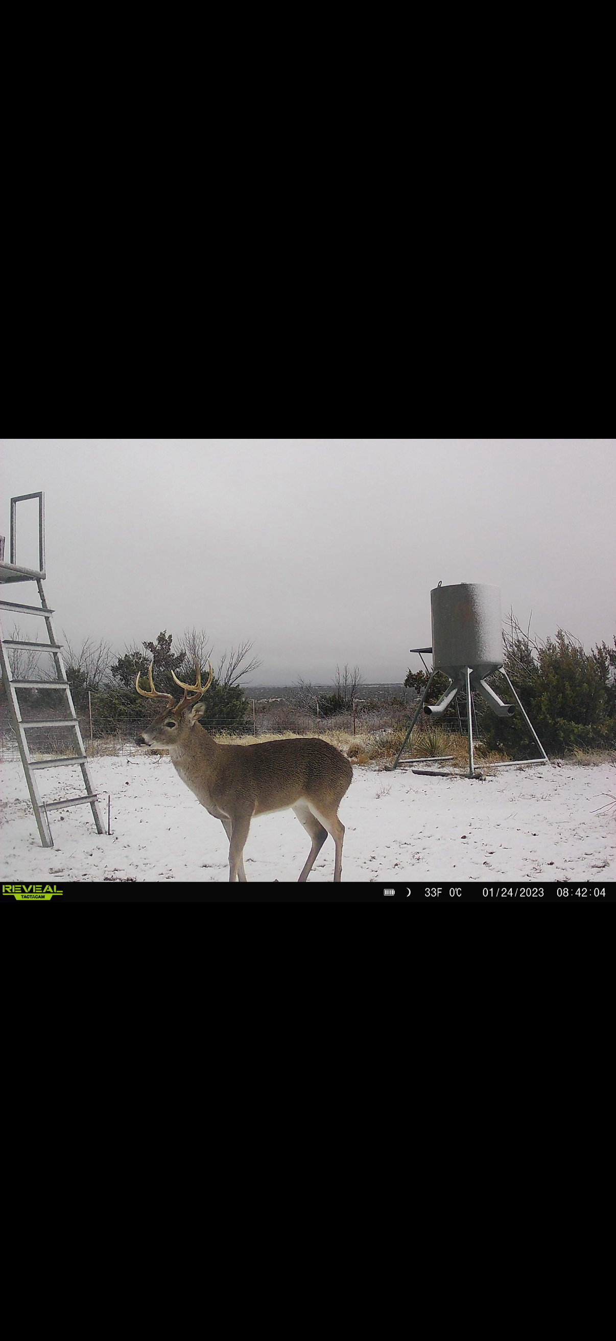 Flying T Ranch - Image 6