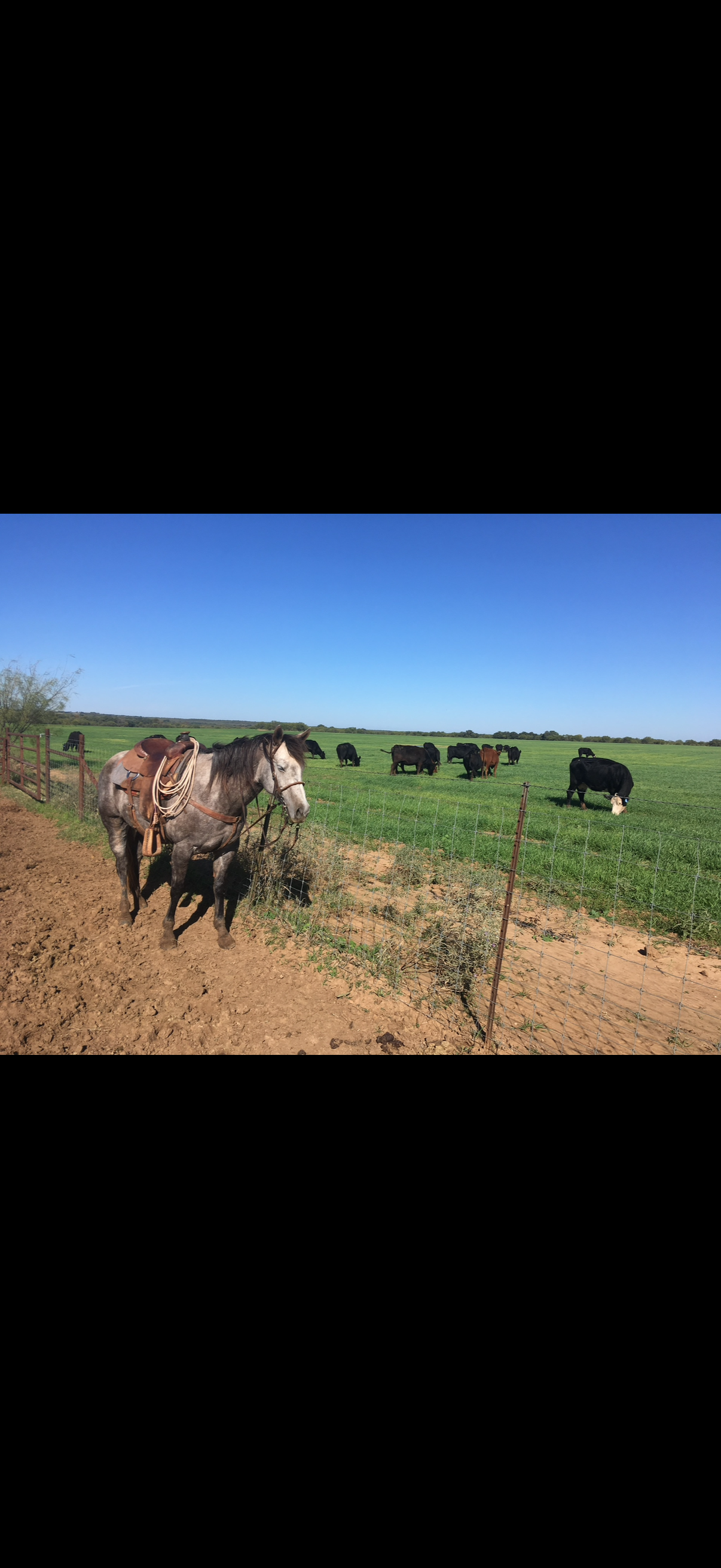 Flying T Ranch - Image 7