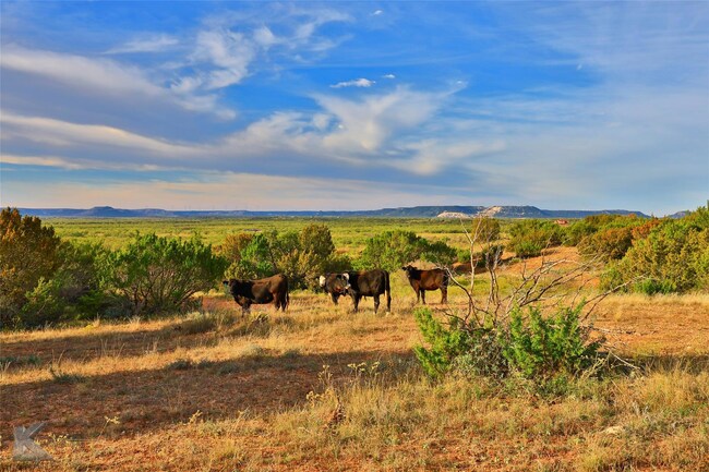 Drummond Ranch - Image 3